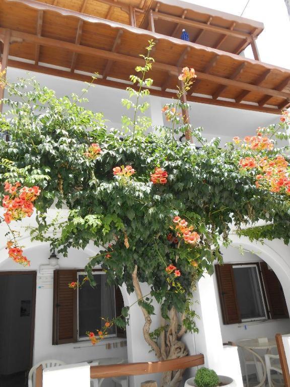 Summerfell Agia Anna  Exterior foto